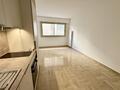 Fully renovated spacious studio apartment - Apartments for rent in Monaco