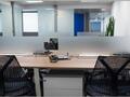 SEVERAL EXCLUSIVE OFFICES WITH SHARED SPACES - Apartments for rent in Monaco