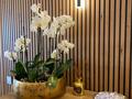 Office space on the Port Hercule - Apartments for rent in Monaco