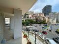 MAGNIFICENT APARTMENT PORT HERCULE - Apartments for rent in Monaco