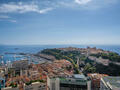 MAGNIFICENT PANORAMIC VIEW - Apartments for rent in Monaco