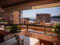 LARGE 4 ROOMS - Apartments for rent in Monaco