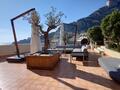 ROOFTOP WITH SWIMMING POOL - Apartments for rent in Monaco