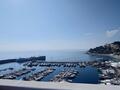 ROOFTOP WITH SWIMMING POOL - Apartments for rent in Monaco