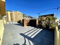 PENTHOUSE 4/5 ROOMS - Apartments for rent in Monaco