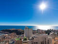 MAGNIFICENT 5 BEDROOM APARTMENT - SEA VIEW - Apartments for rent in Monaco