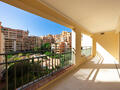 SPACIOUS 1-BEDROOM APARTMENT - Apartments for rent in Monaco