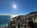 MAGNIFICENT PENTHOUSE FOR RENT - Apartments for rent in Monaco