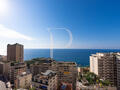 DUPLEX WITH SWIMMING POOL ON THE ROOFTOP - RESIDENCE ‟LE ROC FLEURI‟ - Apartments for rent in Monaco